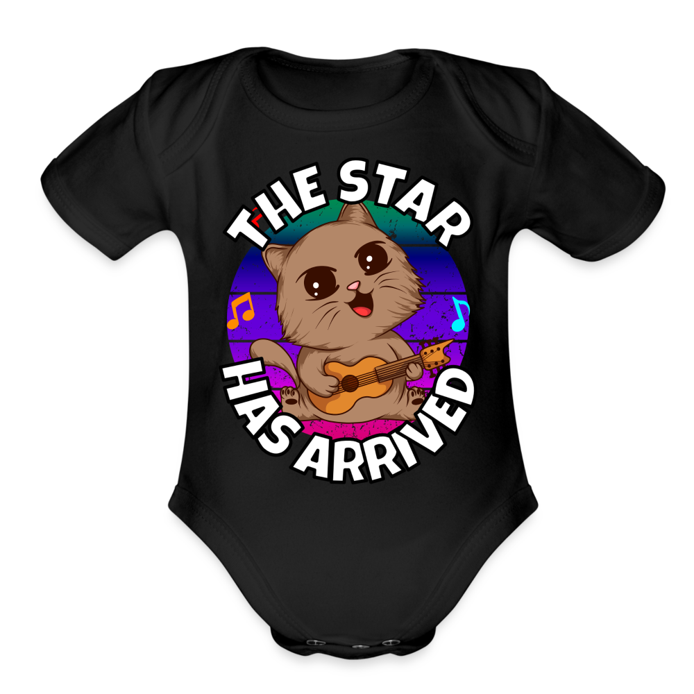 Star Has Arrived Kitten SPOD