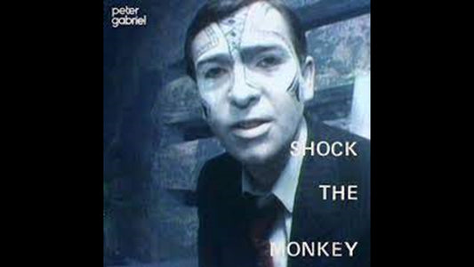 Peter Gabriel - Shock the Monkey