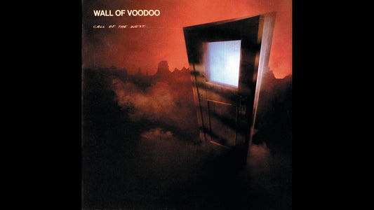 Wall Of Voodoo – Mexican Radio
