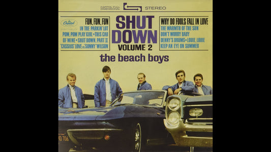 The Beach Boys - Don't Worry Baby