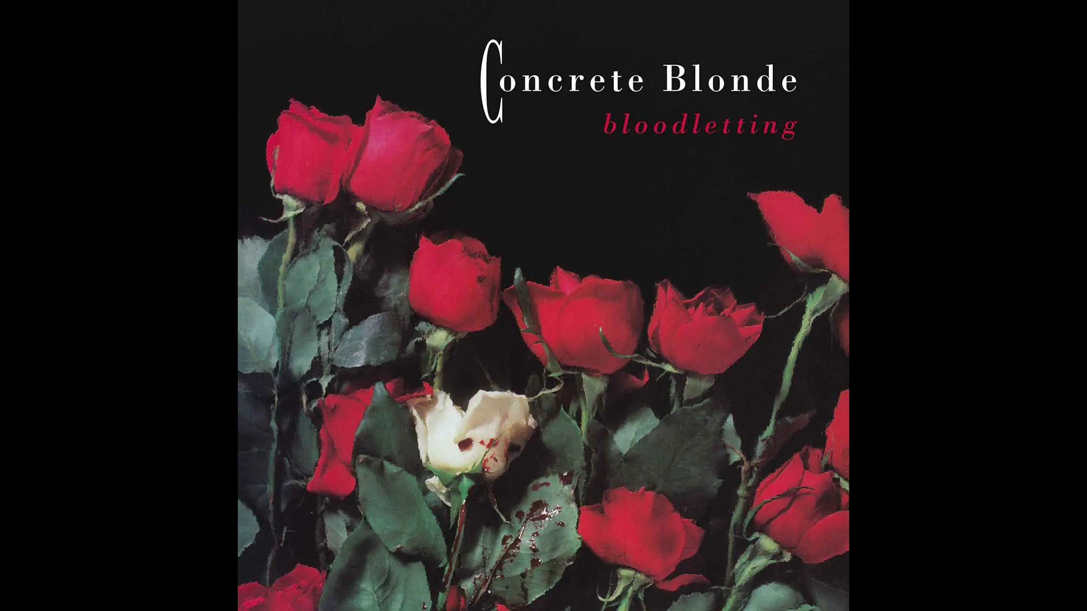 Concrete Blonde Joey Rock Reflections